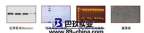 凝胶成像系统