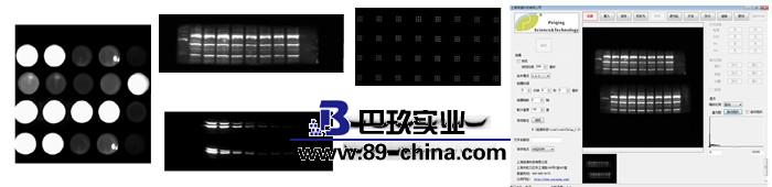 凝胶成像