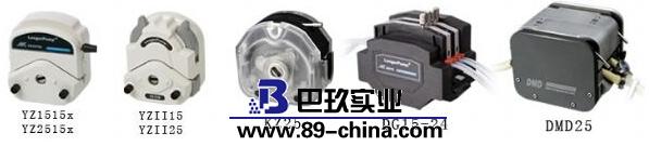 基本型蠕动泵WT600-2J泵头