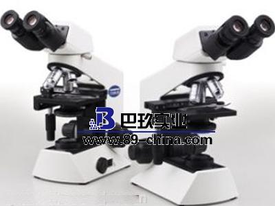 BX43显微镜