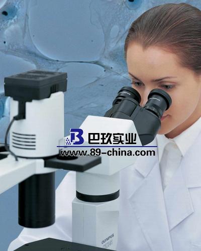奥林巴斯倒置显微镜