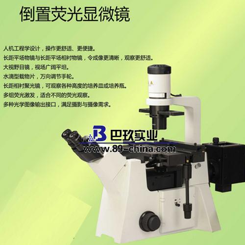 IBE2003倒置荧光生物显微镜