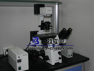 奥林巴斯IX71-A12FL/PH荧光倒置显微镜 