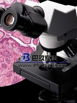 CX31-12C04奥林巴斯生物双目显微镜