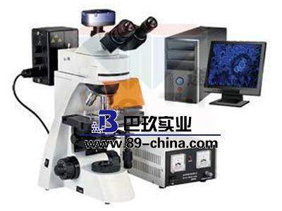 BM-11-2数码简易偏光显微镜(装置）