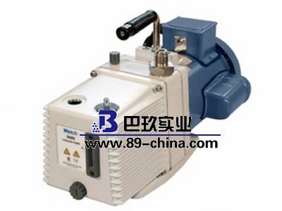 WELCH/威尔奇旋片泵8925C-01