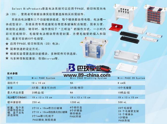 美国SBP垂直电泳系统