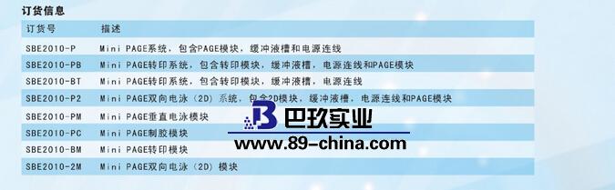 美国SBP垂直电泳系统