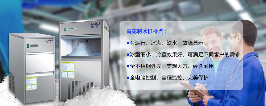 IMS-100P全自动雪花制冰机