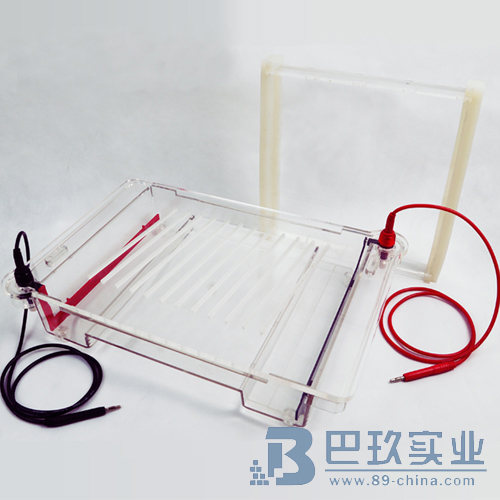 北京六一DYCP-32C型琼脂糖水平电泳仪(大号)