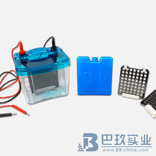 北京六一DYCZ-40G型转印电泳仪