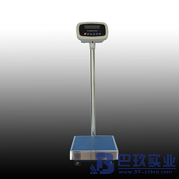 上海菁海10g电子天平YP300KN-10
