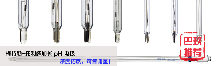 梅特勒托利多加长pH电极