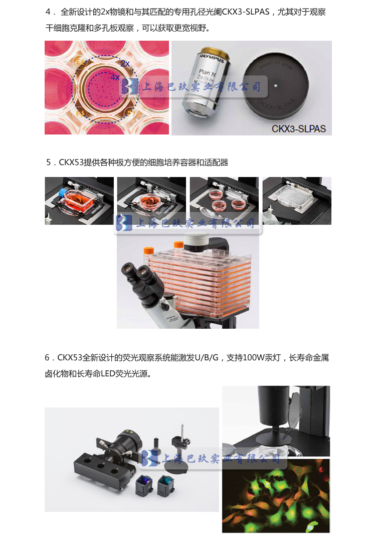 奥林巴斯倒置生物显微镜CKX53特点