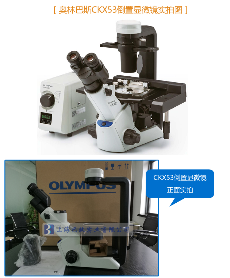 奥林巴斯倒置生物显微镜CKX53实拍图
