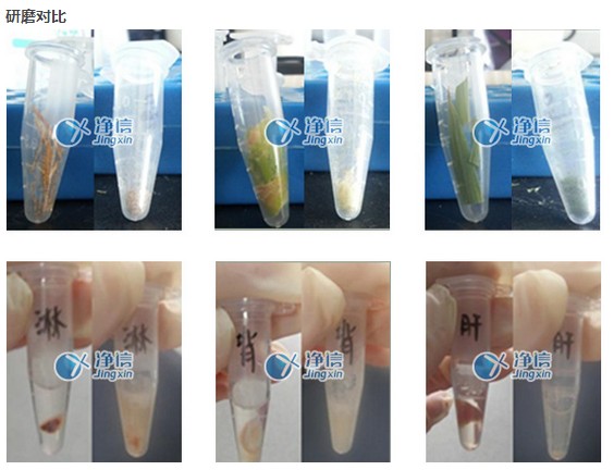 上海净信MY-10/20手持式组织研磨器