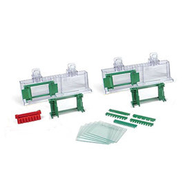 Mini-PROTEAN® Tetra Cell Casting Module 1658020