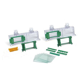 Mini-PROTEAN® Tetra Cell Casting Module 1658021