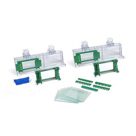 Mini-PROTEAN® Tetra Cell Casting Module 1658022