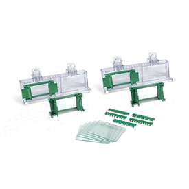 Mini-PROTEAN® Tetra Cell Casting Module 1658023