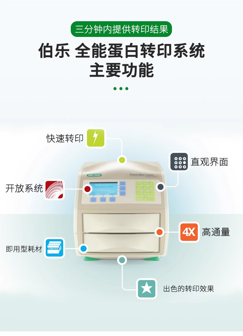1704150蛋白转印系统3