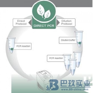 赛默飞世尔Phire植物组织直接PCR试剂盒