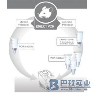 赛默飞世尔Phire动物组织直接PCR试剂盒