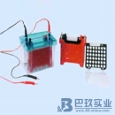 国产DYCZ-40D型迷你转印电泳仪(槽)