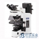 奥林巴斯BX51T-72P01双目显微镜|OLYMPUS显微镜