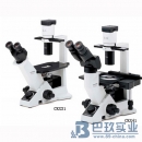 奥林巴斯CKX31倒置显微镜|OLYMPUS显微镜