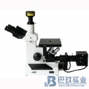 BMM-30E双目正置金相显微镜