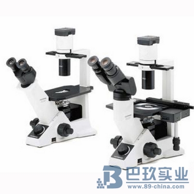 CKX41-A32FL/PH荧光倒置显微镜