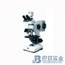 PXSP-C10双目荧光显微镜