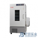 CTHI-100B恒温恒湿箱