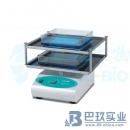 美国labnet ProBlot™恒温水浴摇床 