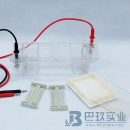 北京六一DYCP-31CN型琼脂糖水平电泳仪(小号)