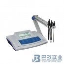 上海雷磁DZS-706多参数分析仪