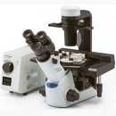 奥林巴斯倒置生物显微镜CKX53 Olympus实验室常规倒置显微镜新品
