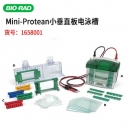 美国伯乐Bio-Rad Mini-Protean小垂直板电泳槽1658001