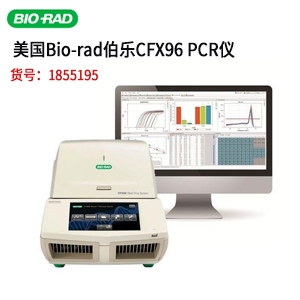 美国bio-rad伯乐CFX96实时荧光定量PCR仪