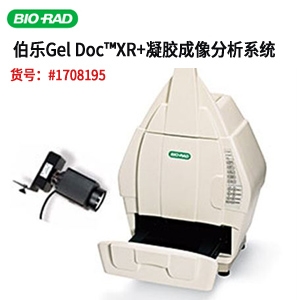 美国BIO-RAD伯乐 全新 Gel Doc™ XR+ 凝胶成像系统1708195