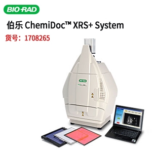 美国BIO-RAD伯乐ChemiDoc™ XRS+ 化学发光、荧光和比色成像系统 1708265