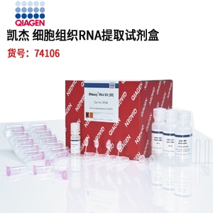 RNeasy Mini Kit Qiagen凯杰 74106细胞组织RNA提取试剂盒