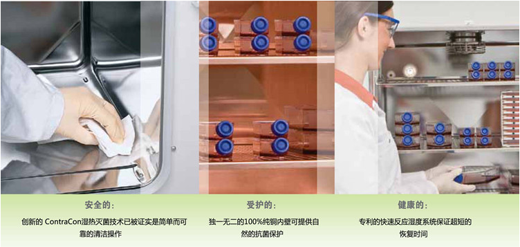 二氧化碳培养箱性能