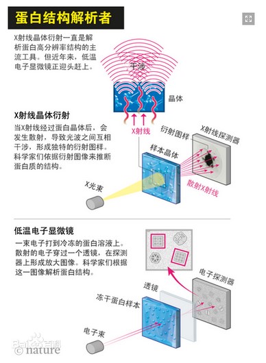 桌面单粒子低温电子显微镜-蛋白结构解析