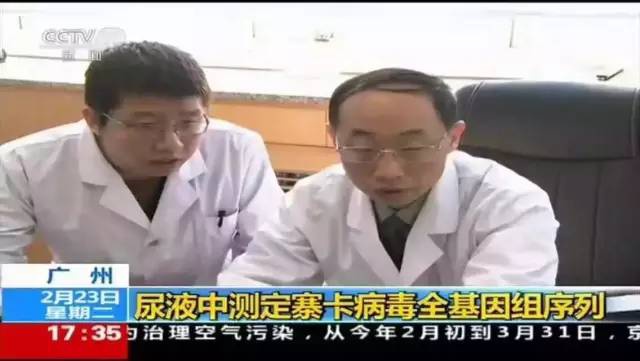 桌面中国首次获得寨卡病毒全基因组序列测定