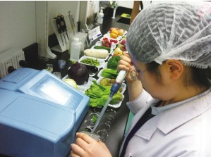 桌面食品检测仪未来发展出路