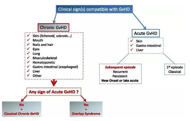 GVHD的临床分类