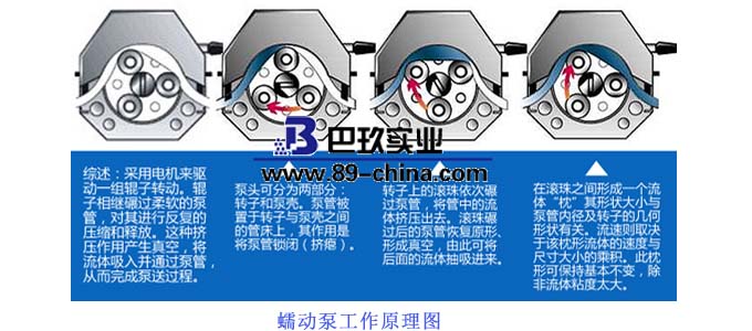蠕动泵原理