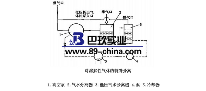 真空泵